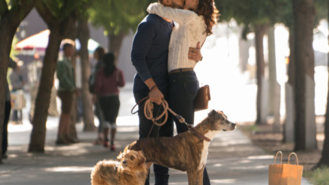 Dog Dating: a Roma l'appuntamento per i single con un cane – Vanity Fair.it