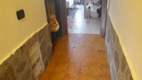 Blitz antidroga a Begato, la polizia spara e ferisce il cane – Telenord