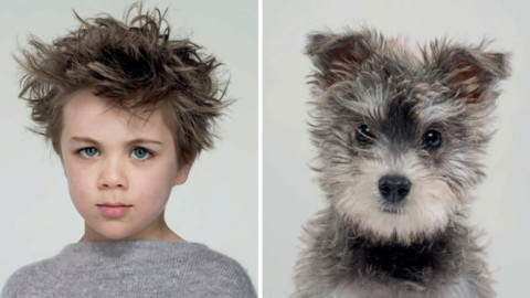 Quanto assomigliate al vostro cane? Le foto – Vanity Fair.it