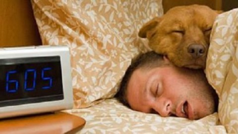 Dormire con gli animali: proprietari di cani e gatti perdono ore di sonno – www.amoreaquattrozampe.it (Blog)