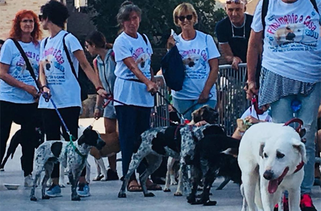 La sfilata dei cani a Senigallia con l'evento "Finalmente a casa"