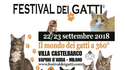 Festival dei gatti a Vaprio d'Adda – La Martesana