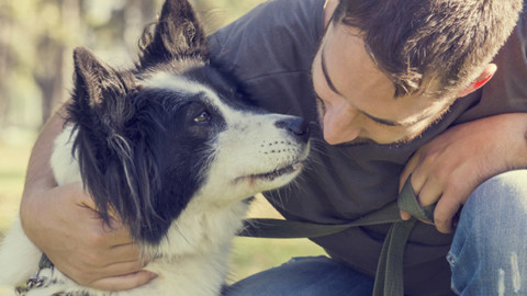 Cani più educati dai proprietari felici – GreenStyle