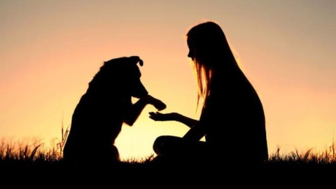 Perché avere un cane può cambiarti la vita (in meglio) – BergamoNews.it