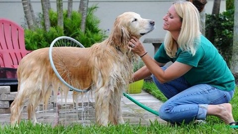 Woof Washer 360, l’hula-hoop per lavare il cane (VIDEO) – greenMe.it