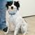 Avete mai sentito dire “lavoro come un gatto”? Ecco tutti i benefici … – L’Huffington Post