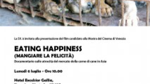 VIDEO YouTube. “Eating happiness”: ecco perché in Oriente si … – Blitz quotidiano
