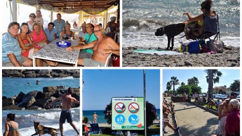 IMPERIA. BORGO PRINO. SPIAGGIA PER I CANI. MONTA LA … – IMPERIAPOST