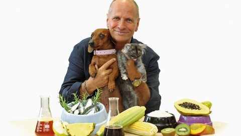 10 regole per nutrire il cane e mantenerlo in salute – IO donna