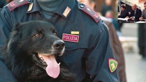 Amate gli animali? Adottate un cane poliziotto – Il Quaderno
