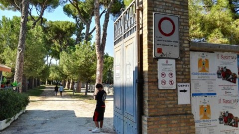 Parchi off limits per i cani I cittadini: “Soluzioni o ci mobilitiamo … – Cronache Maceratesi (Registrazione)