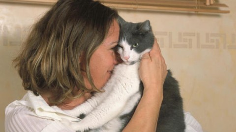 25 modi in cui il tuo gatto ti dimostra il proprio affetto (FOTO) – L'Huffington Post