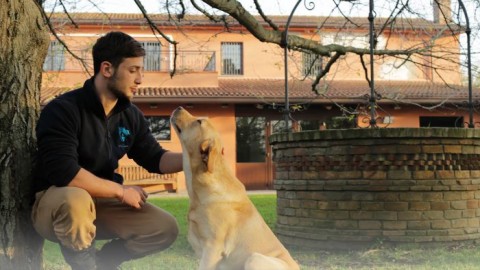 Pet therapy in comunità per uscire dalla tossicodipendenza, il … – L'Huffington Post