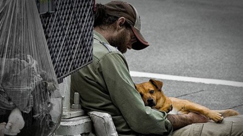 Cani sfruttati per mendicare: salvati 3 animali dall'accattonaggio a … – greenMe.it