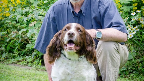 Cane: 10 consigli per farlo felice – IO donna