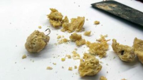 Esche-killer in pasto ai cani: biscotti con gli ami per ucciderli – La Nazione