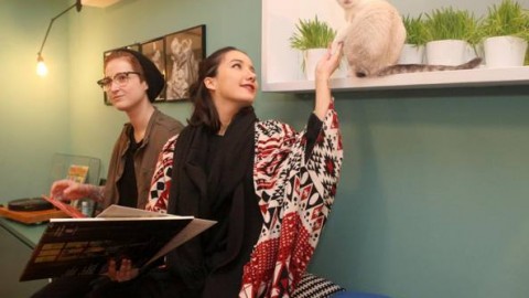 Benvenuti al bistrot a misura di gatto – Corriere della Sera
