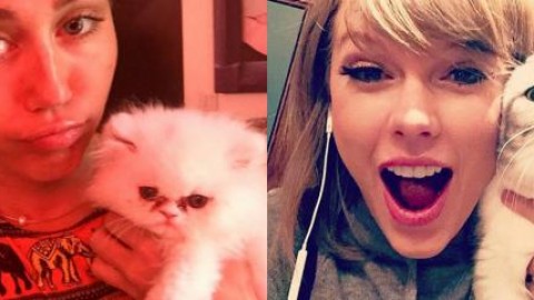 Miley Cyrus VS Taylor Swift: Giornata del Gatto, chi &egrave; la “gattara … – meltyfan.it