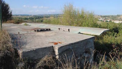 Campli, salvati cani reclusi in un bunker – L’Opinionista