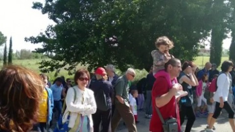 Tornano le passeggiate “Bimbi e cani felici e sani” – Umbria Journal il sito degli umbri