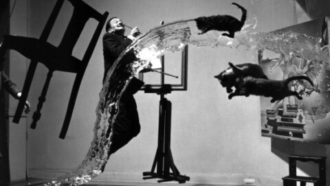 Uomini e gatti, una mostra a Verona – il mattino di Padova
