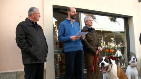 Il cane San Bernardo è anche valdostano – Valledaostaglocal.it