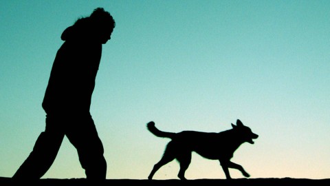 Città Giardino ma non per chi ha un cane – Varese News