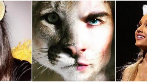 Nina Dobrev, Ian Somerhalder, Ariana Grande diventano gatti! (FOTO) – melty.it