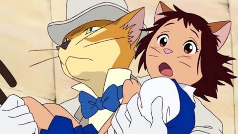 La ricompensa del gatto, il film dello Studio Ghibli finalmente in Italia … – Cinema Fanpage