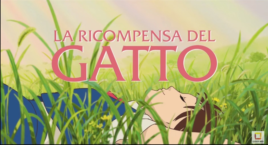 LA RICOMPENSA DEL GATTO CINEMA