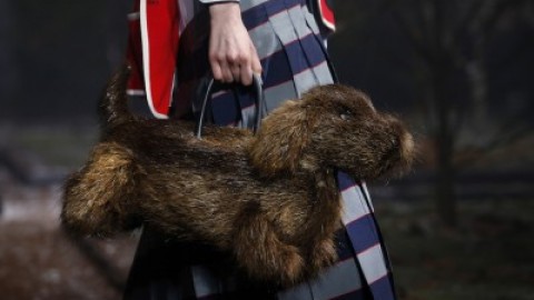 I cani di Thom Browne – Il Post