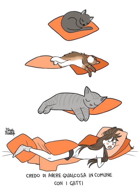 Un disegno di Elena Triolo, in arte Carote&Cannella. E' un'illustratrice di fumetti e di vignette divertenti. Ha un blog e una pagina Facebook, e si può trovare anche su Instagram e Twitter. Sensibile al tema animalista già l'anno scorso aveva collaborato con l’Associazione Amici di Chicco in favore dei gatti collaborato con l’Associazione Amici di Chicco in favore dei gatti