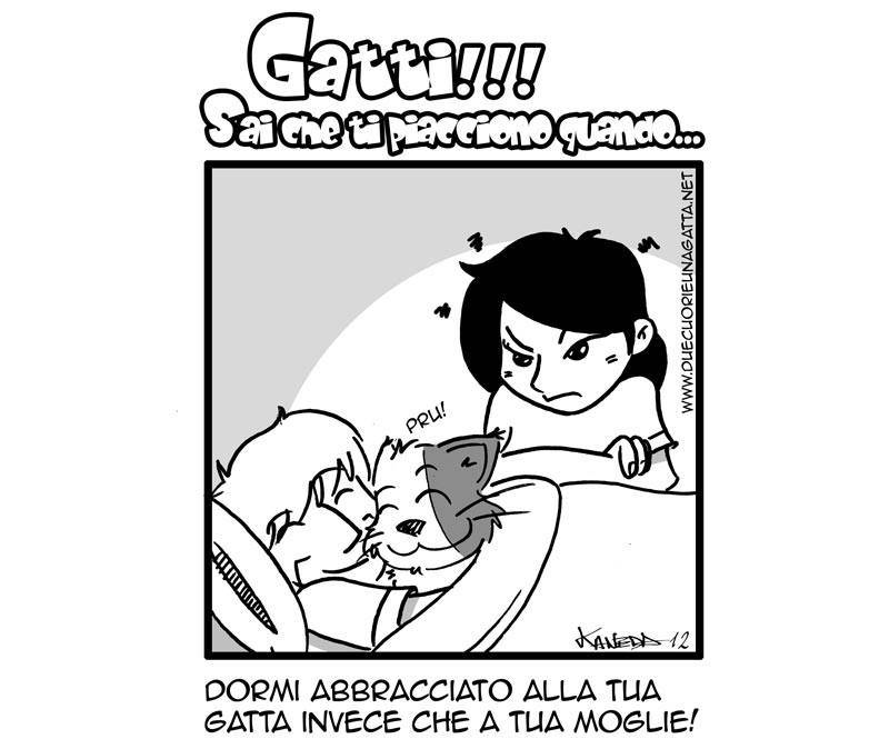 Un disegno di Stefano Gargano, il papà de La Gatta, una simpatica micia che vive con i suoi due umani