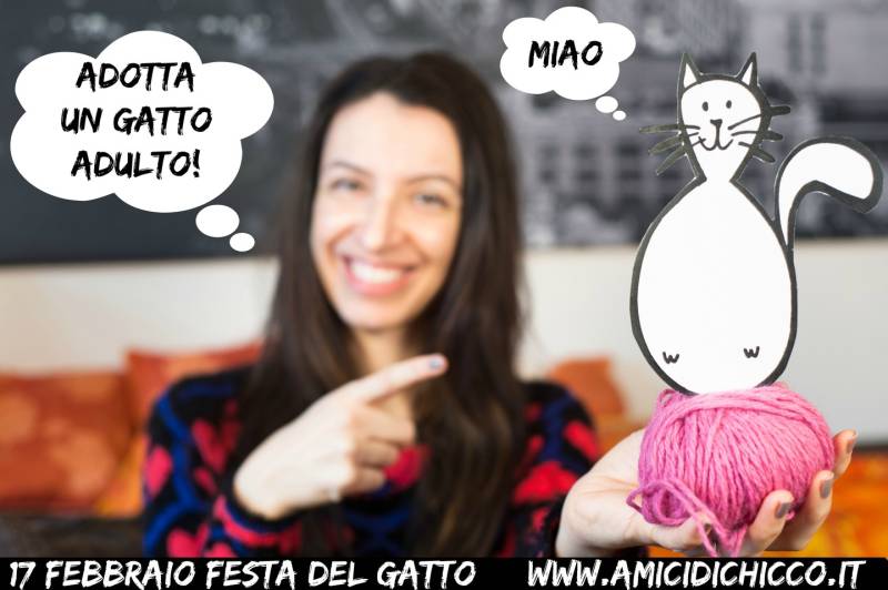 L’Associazione Amici di Chicco di Firenze si occupa di sensibilizzare le persone sul tema delle adozioni di gatti adulti abbandonati. Il loro blog è un luogo di informazione e di “raccolta” di molti gattari della Rete. Anche tramite la loro pagina faceboo cercano di combattere i pregiudizi secondo i quali i gatti adulti non si affezionerebbero alle nuove famiglie. Invece ci sono così tanti gatti abbandonati nei rifugi in attesa di una nuovo famiglia...