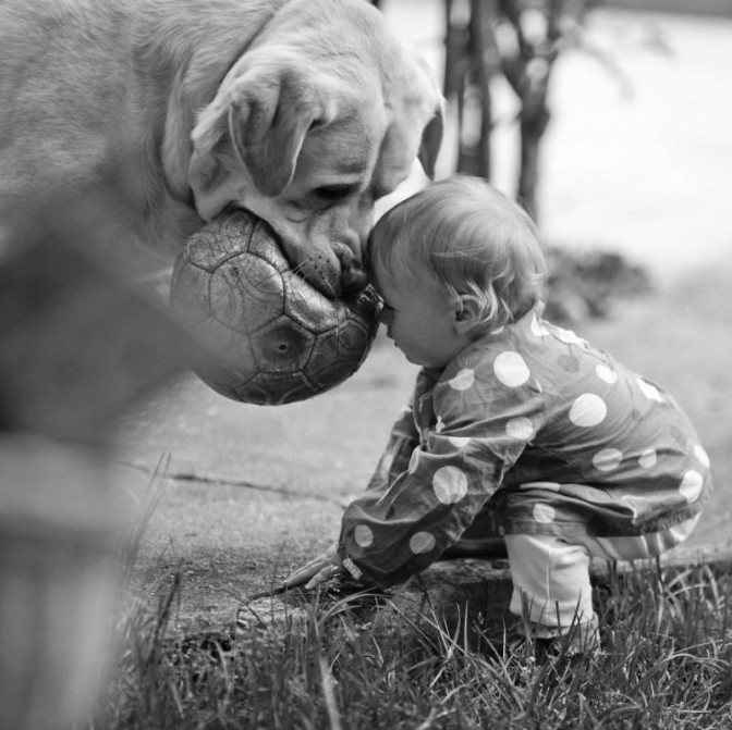 Cane: Qual è la Razza più Adatta al tuo Bambino – Vita Da Mamma