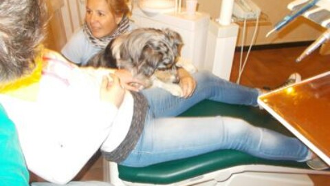 Dal dentista con il cane, &egrave; il progetto ‘OdontoPet’ – Adnkronos