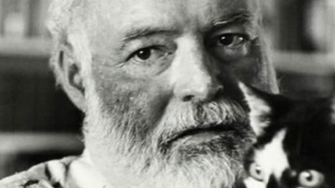Un miao tra le pagine. Quando i gatti fanno letteratura – IO donna