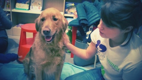 Pet therapy: cos’&egrave;, come funziona e quali sono i suoi benefici – nostrofiglio.it