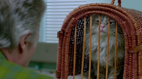 Nine Lives: Christopher Walken parla con Kevin Spacey in versione … – BadTaste.it – Il nuovo gusto del Cinema