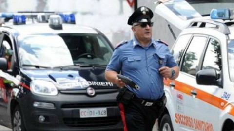 Milano, morta 76enne azzannata alla testa da 2 suoi cani. I … – Il Fatto Quotidiano