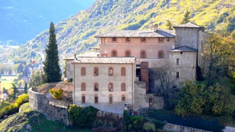 Riassetto lombardo, critiche anche dai Veterinari comaschi