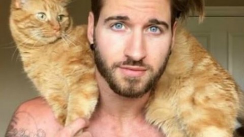 Tenersi in forma col gatto: così il video del modello canadese … – Il Fatto Quotidiano