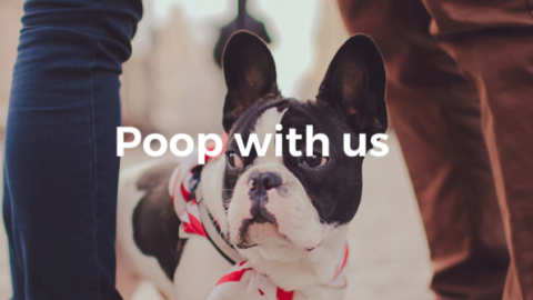 Arriva la app per raccogliere la cacca del tuo cane – Wired.it