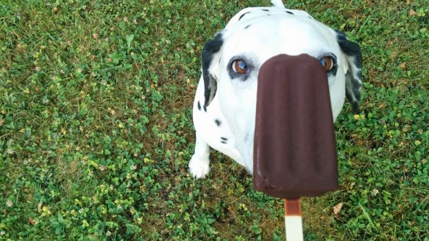 Running-Gazzetta-Runner-Cani-Gelato