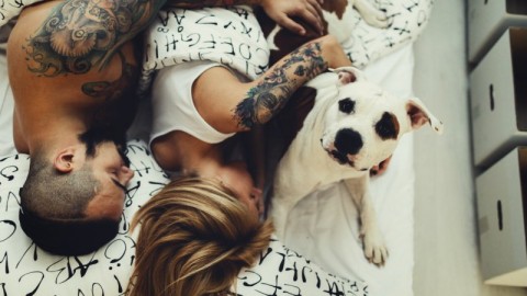 Perché cani e gatti fanno bene al rapporto di coppia – La Repubblica