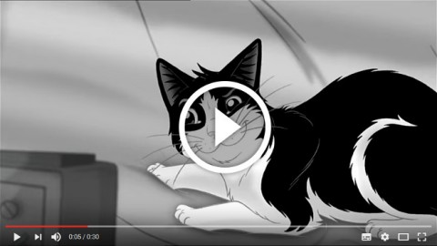 I gatti ci corrompono? E' una questione di “miao”! – Petpassion.tv