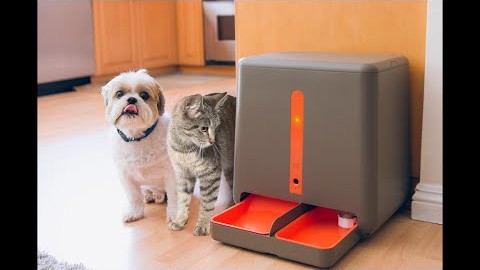 Avete catti e gatti? Questo gadget risolve per sempre ogni problema – appletvitalia.it (Blog)