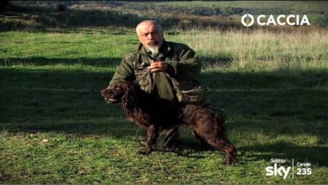 Caccia e Cani: Spaniel Tedesco, cane da cerca – Caccia Passione