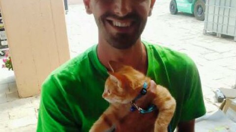 Ginger, il gatto del villaggio, «emigrato» a Torino – La Sicilia