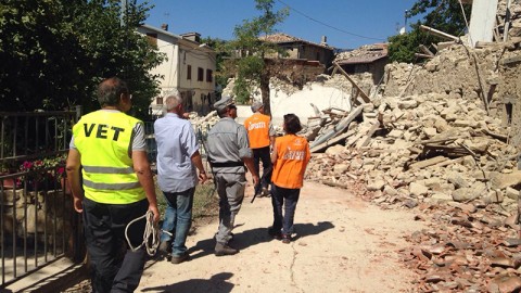 La LAV impegnata per animali e umani nelle zone del terremoto